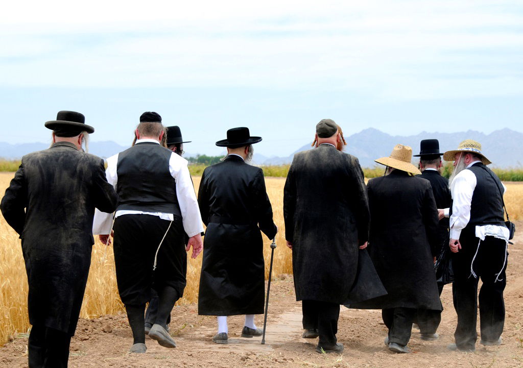 הקציר של הרבי סאטמר: צפו בגלרית ענק מאריזונה