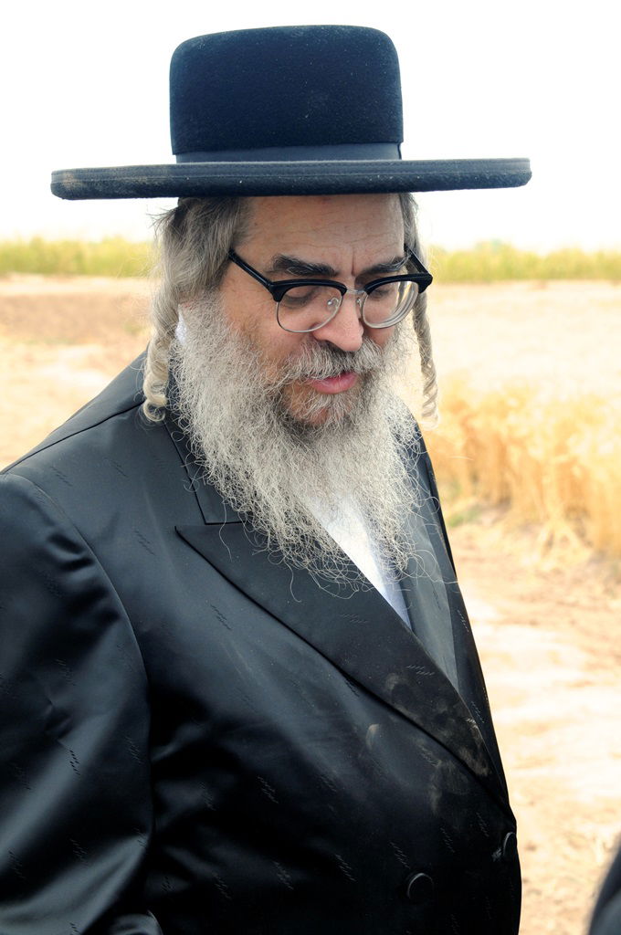 הקציר של הרבי סאטמר: צפו בגלרית ענק מאריזונה