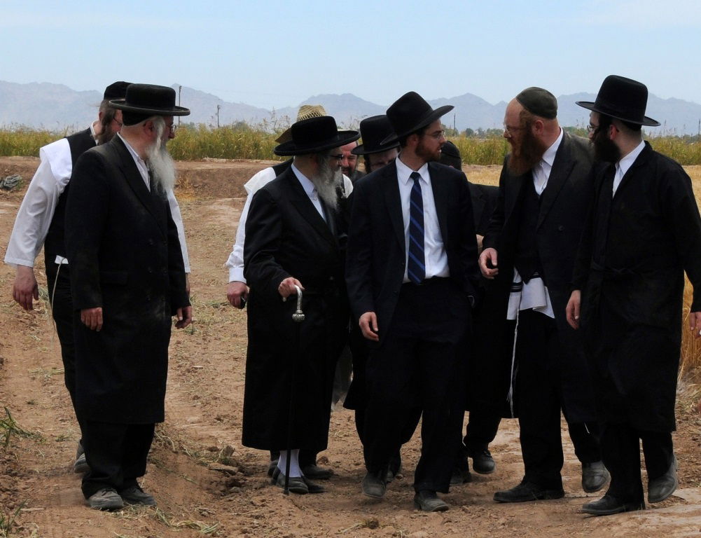 הקציר של הרבי סאטמר: צפו בגלרית ענק מאריזונה