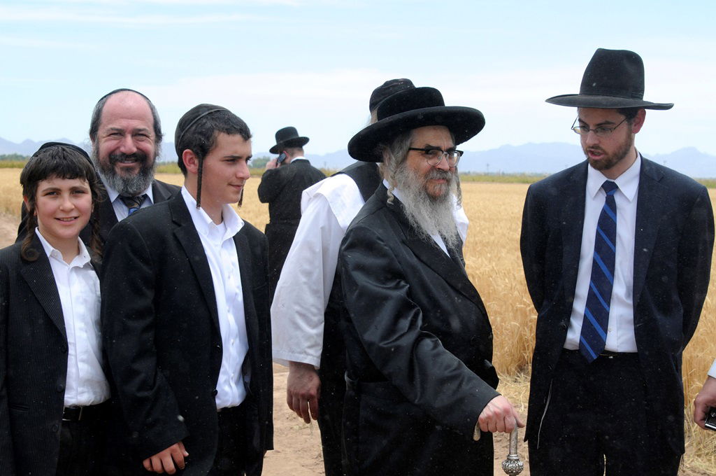 הקציר של הרבי סאטמר: צפו בגלרית ענק מאריזונה
