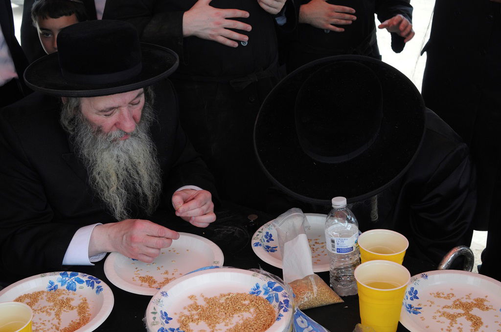 הקציר של הרבי סאטמר: צפו בגלרית ענק מאריזונה