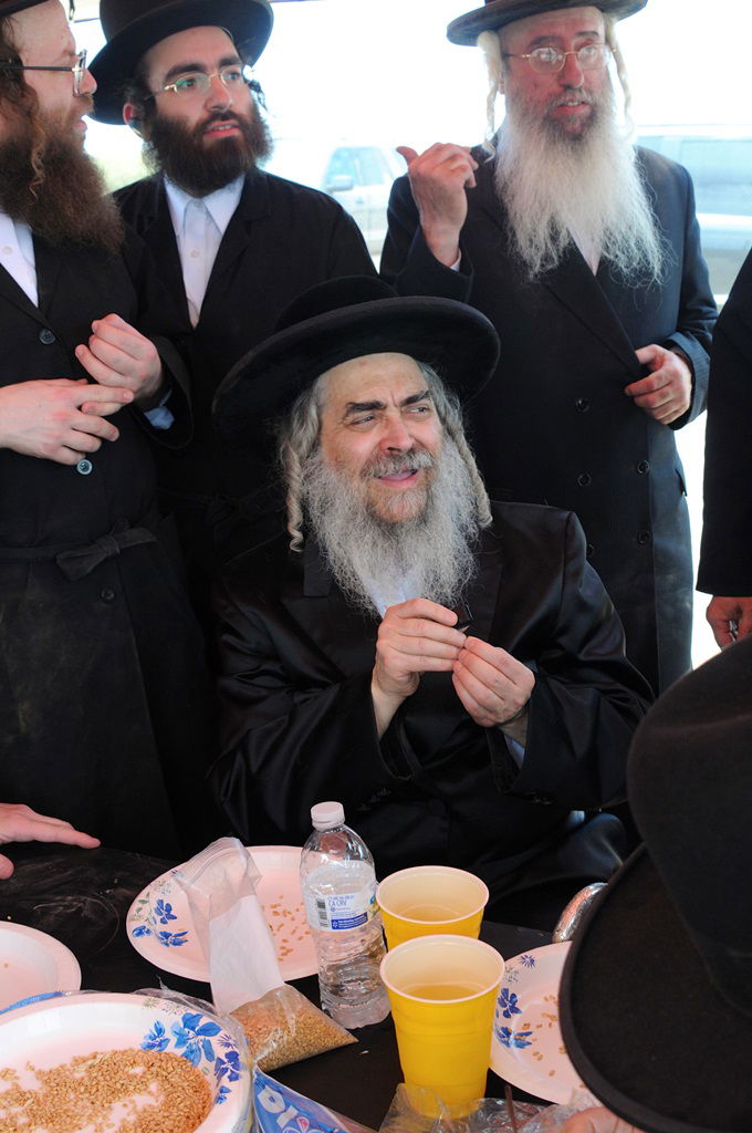 הקציר של הרבי סאטמר: צפו בגלרית ענק מאריזונה