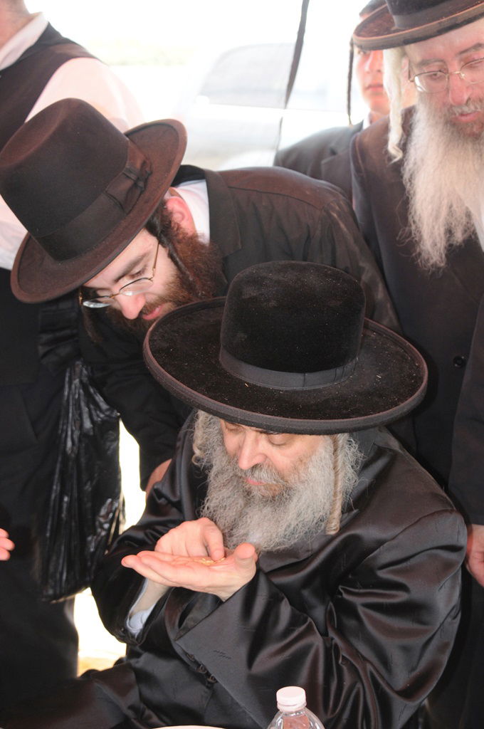 הקציר של הרבי סאטמר: צפו בגלרית ענק מאריזונה