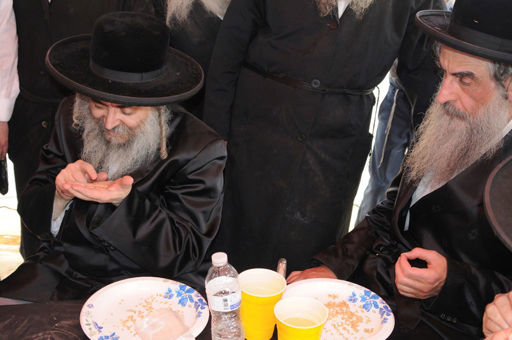 הקציר של הרבי סאטמר: צפו בגלרית ענק מאריזונה