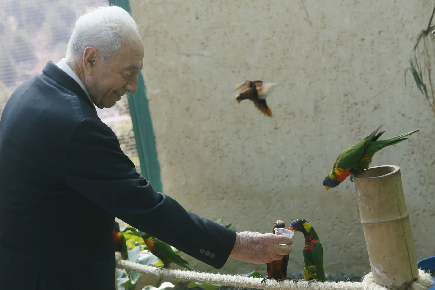 צפו: איזו מתנה קיבל הנשיא שמעון פרס מהפילה