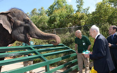 צפו: איזו מתנה קיבל הנשיא שמעון פרס מהפילה