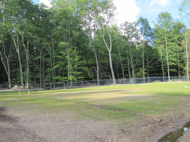 צפו: הכנסת ספר תורה בערב שבת