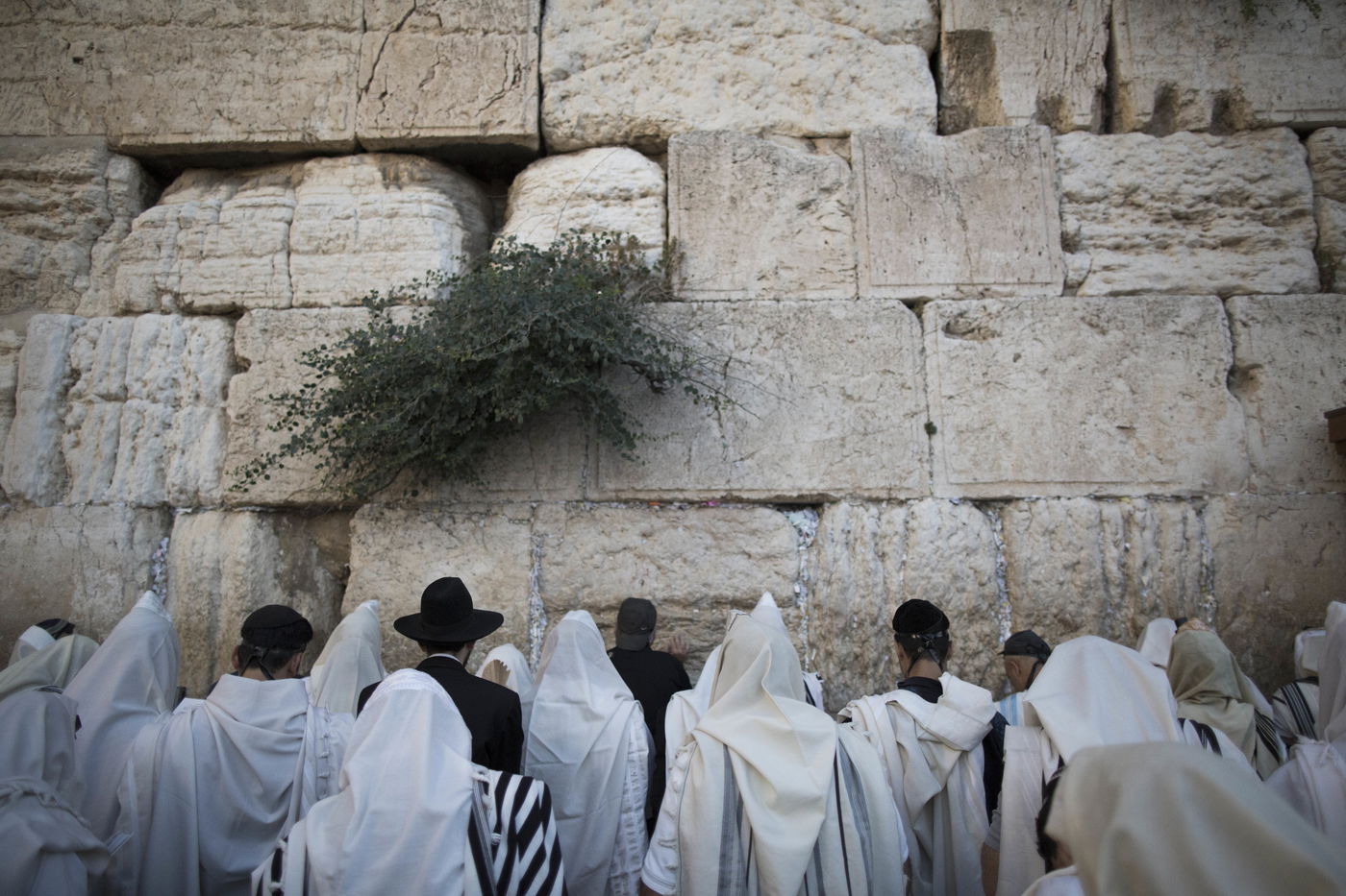 עַל הַר-צִיּוֹן שֶׁשָּׁמֵם: אלפים מתאבלים בכותל • גלריה