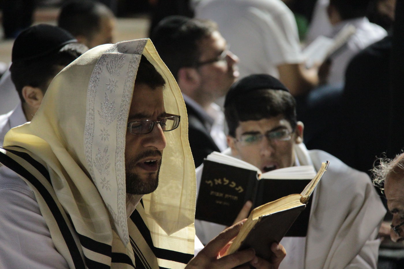 פֵּרְשָׂה צִיּוֹן בְּיָדֶיהָ, אֵין מְנַחֵם לָהּ • גלריה ירושלמית