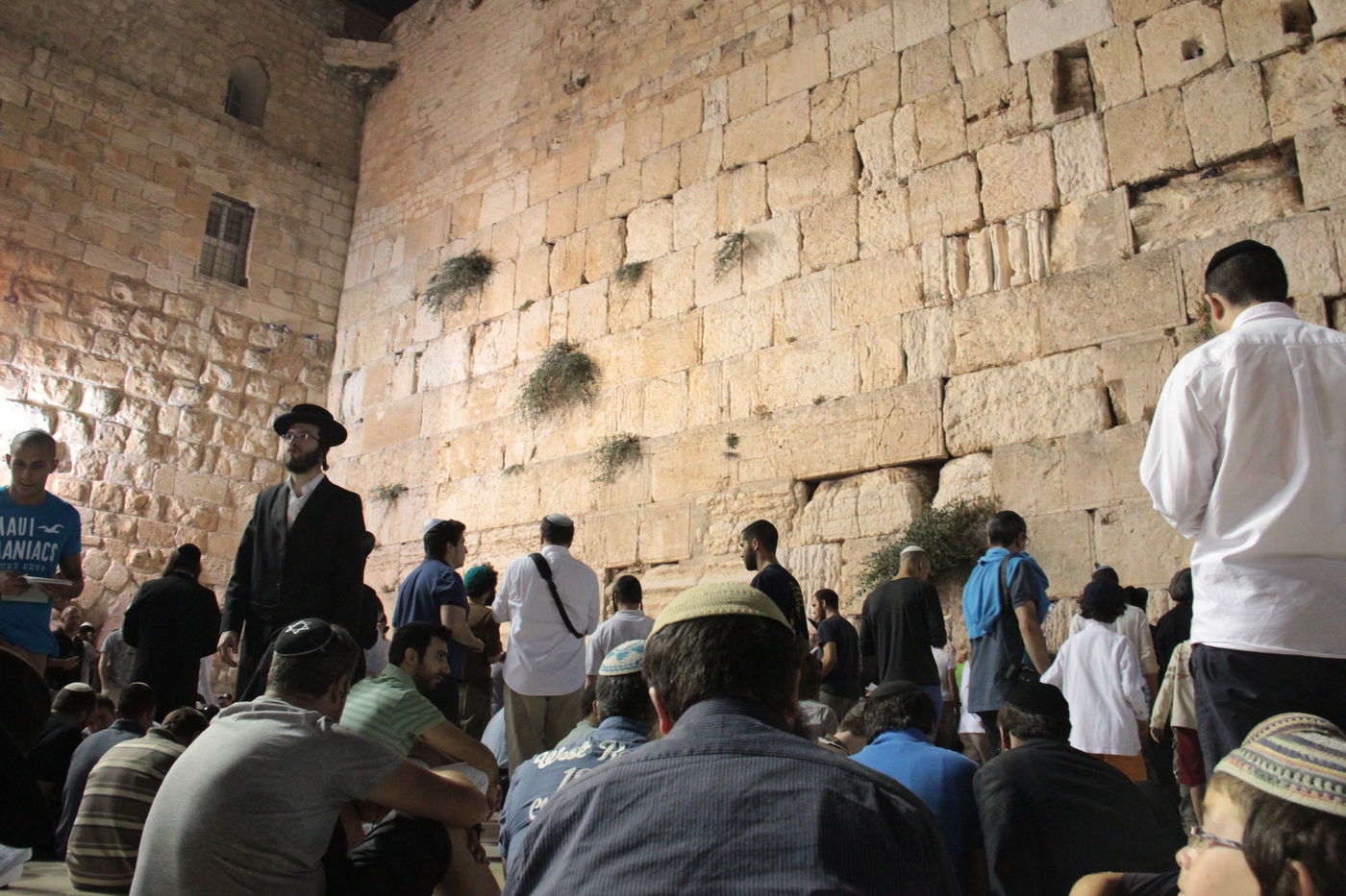 פֵּרְשָׂה צִיּוֹן בְּיָדֶיהָ, אֵין מְנַחֵם לָהּ • גלריה ירושלמית