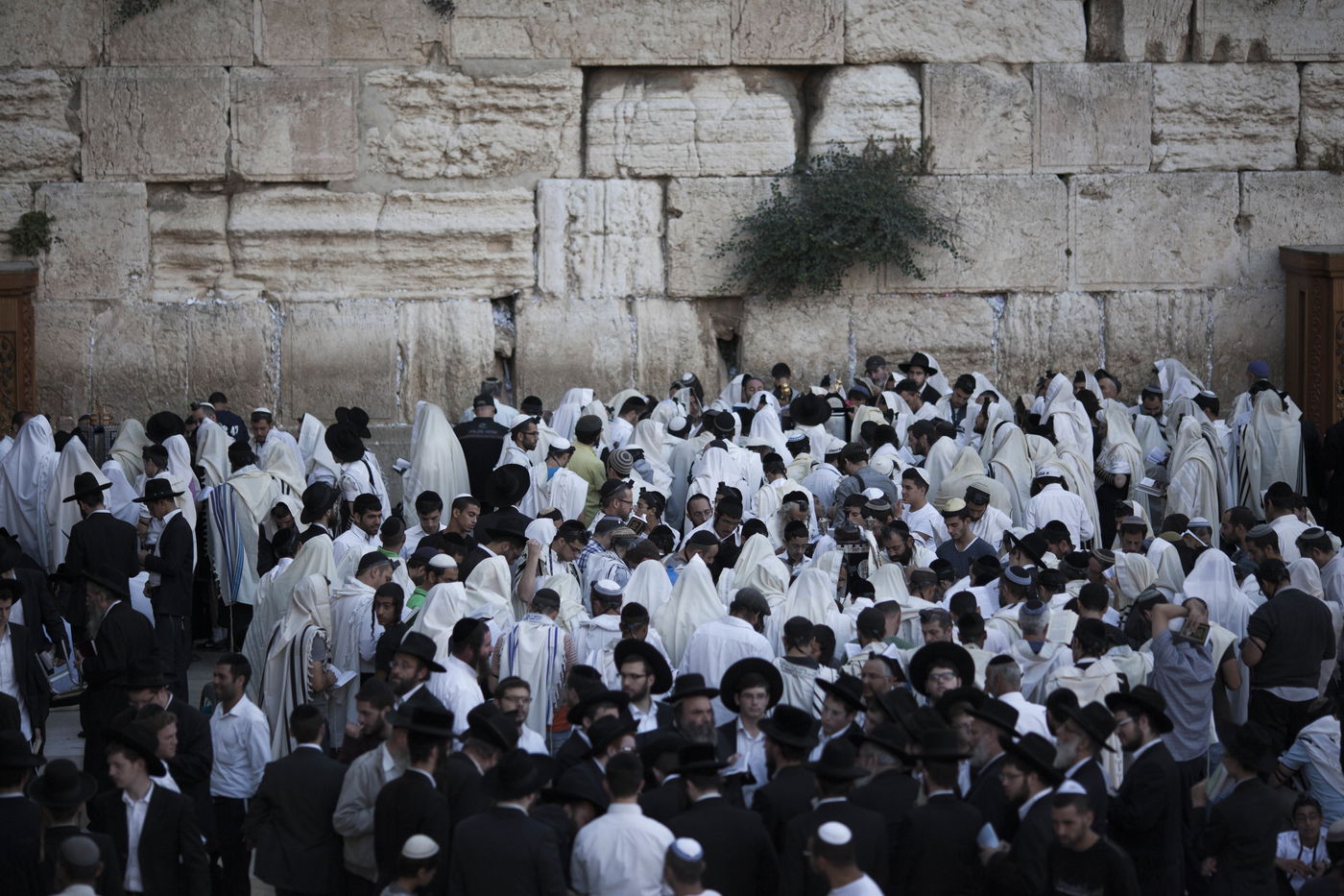 עַל הַר-צִיּוֹן שֶׁשָּׁמֵם: אלפים מתאבלים בכותל • גלריה