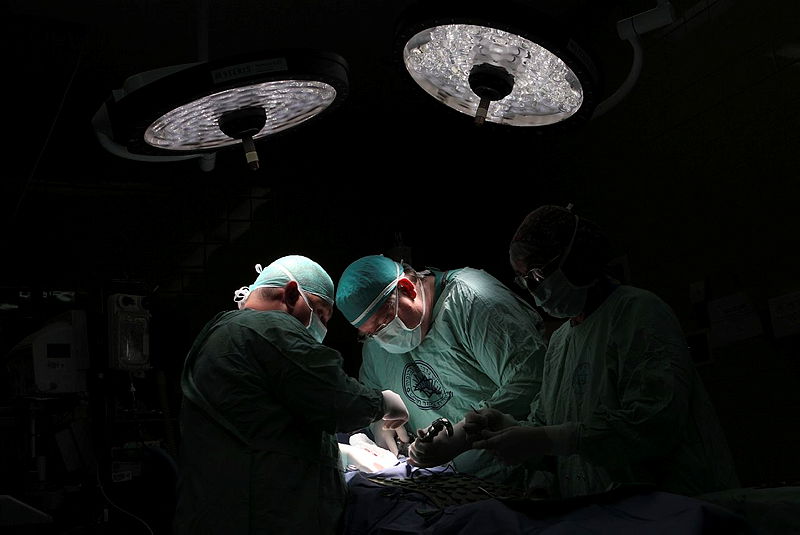 אילוסטרציה, למצולמים אין קשר לנאמר בכתבה