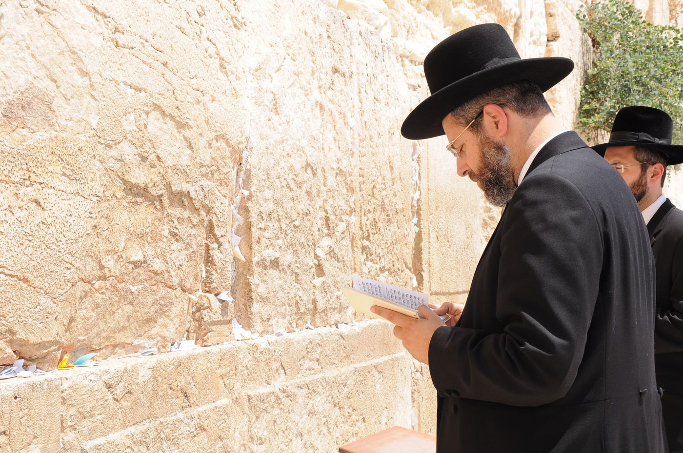 תיעוד: יום הניצחון של הרב דוד לאו