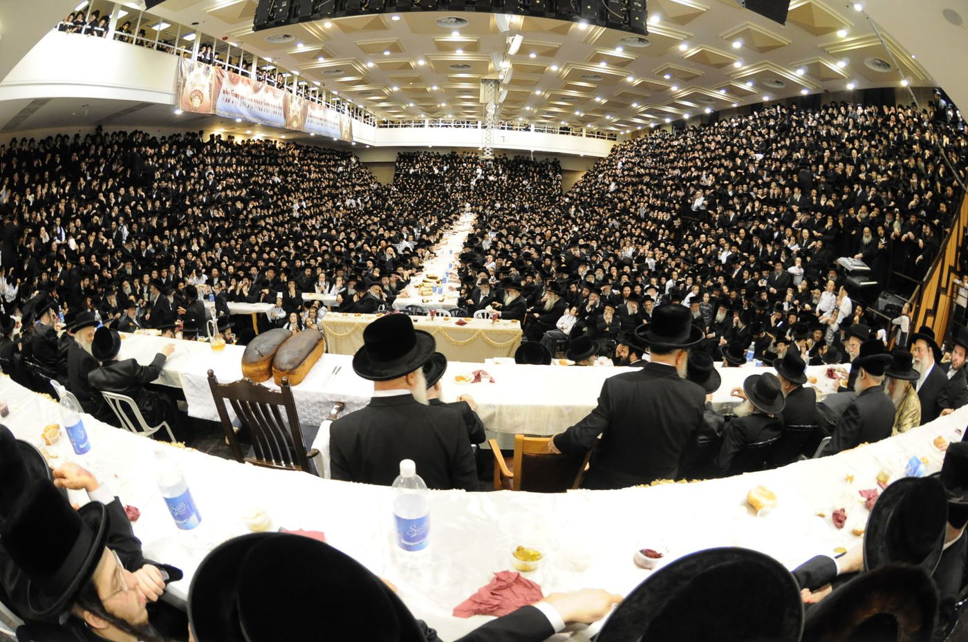 סגירת מעגל בבעלזא: חתונת הנכדה - בתאריך חתונת הנכד