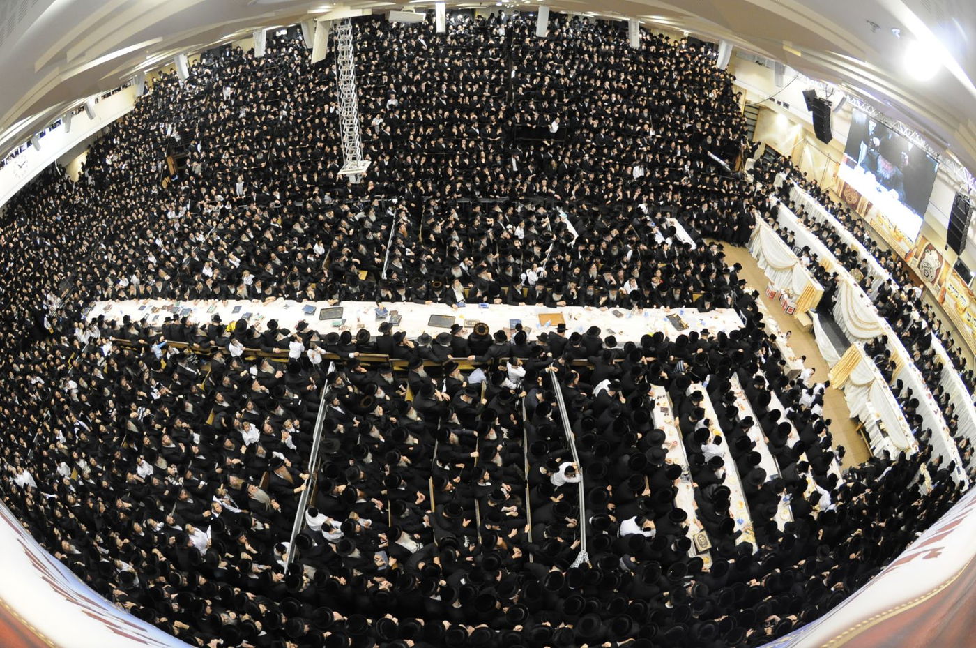 סגירת מעגל בבעלזא: חתונת הנכדה - בתאריך חתונת הנכד