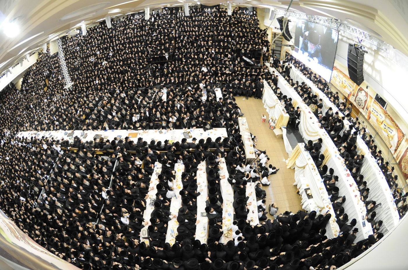 סגירת מעגל בבעלזא: חתונת הנכדה - בתאריך חתונת הנכד