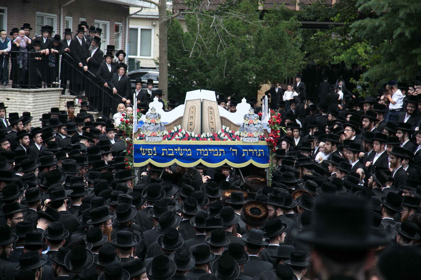 סקווירא: מעמד הכנסת ספר תורה • גלריה