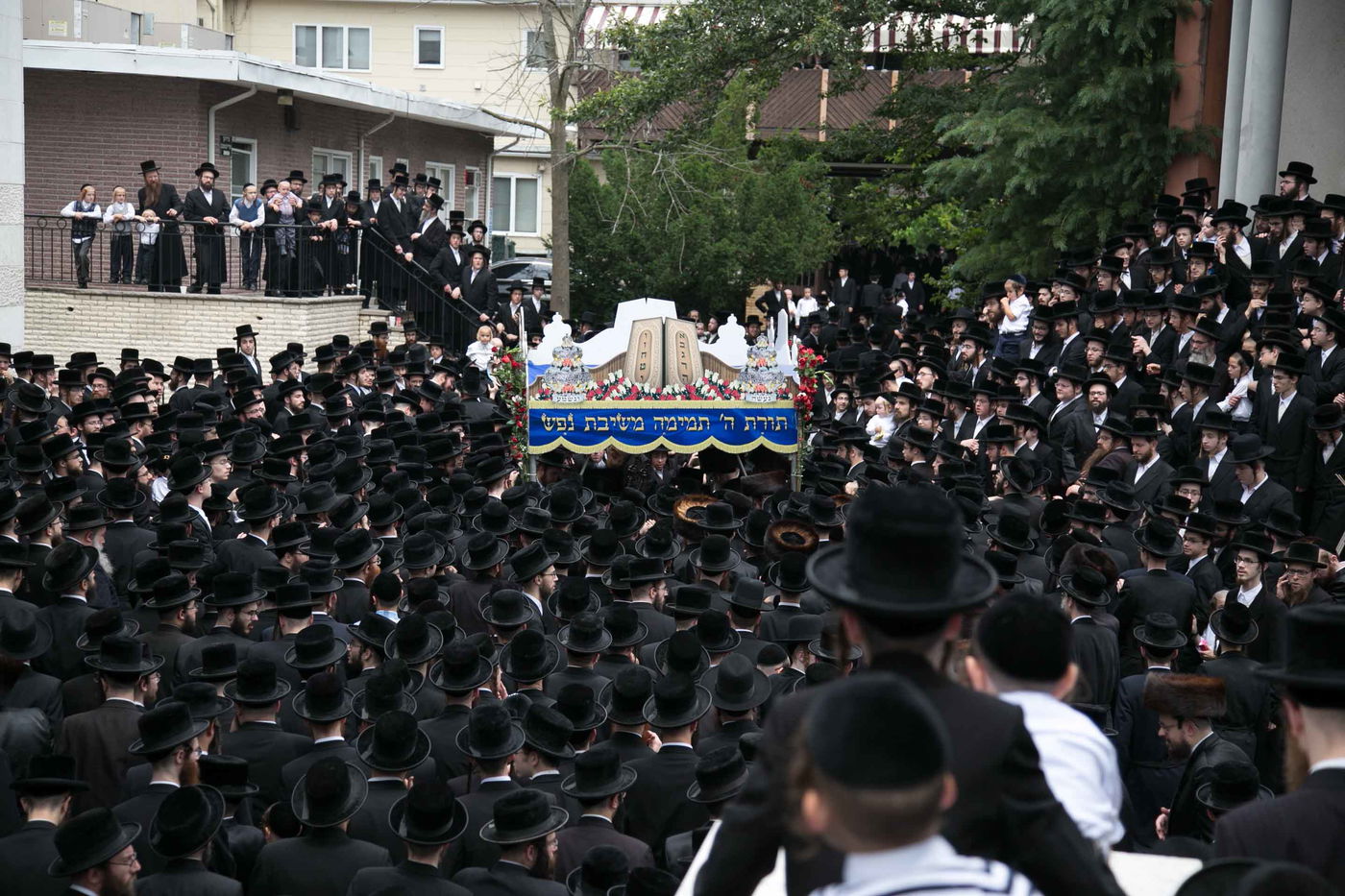 סקווירא: מעמד הכנסת ספר תורה • גלריה