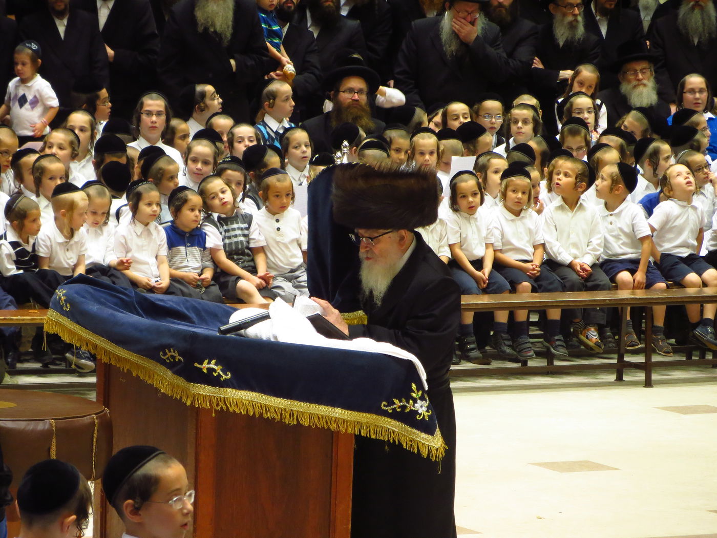 סקווירא: מעמד הכנסת ספר תורה • גלריה