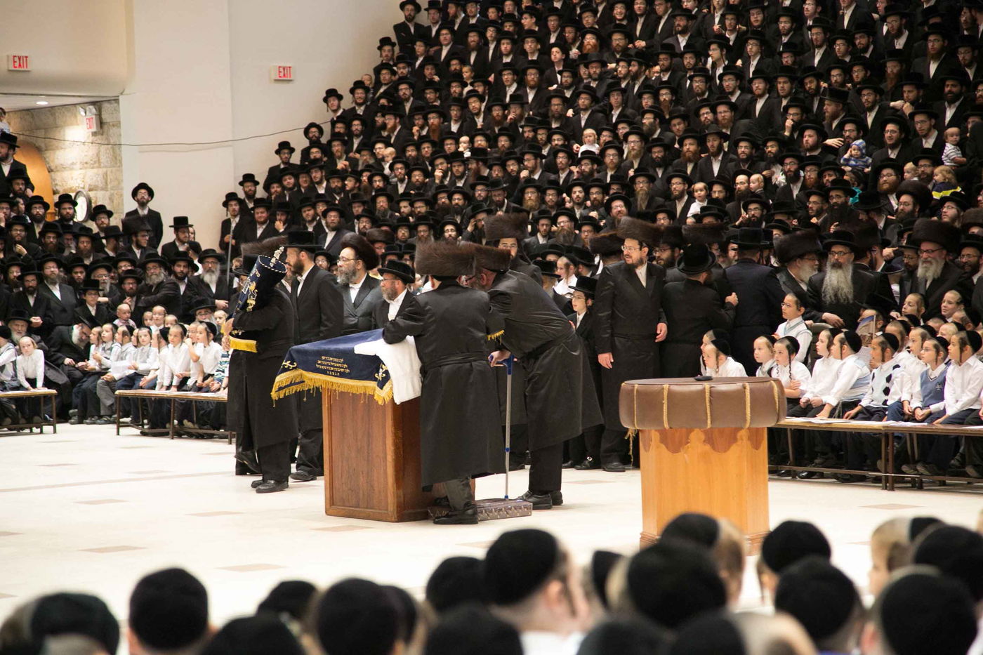 סקווירא: מעמד הכנסת ספר תורה • גלריה