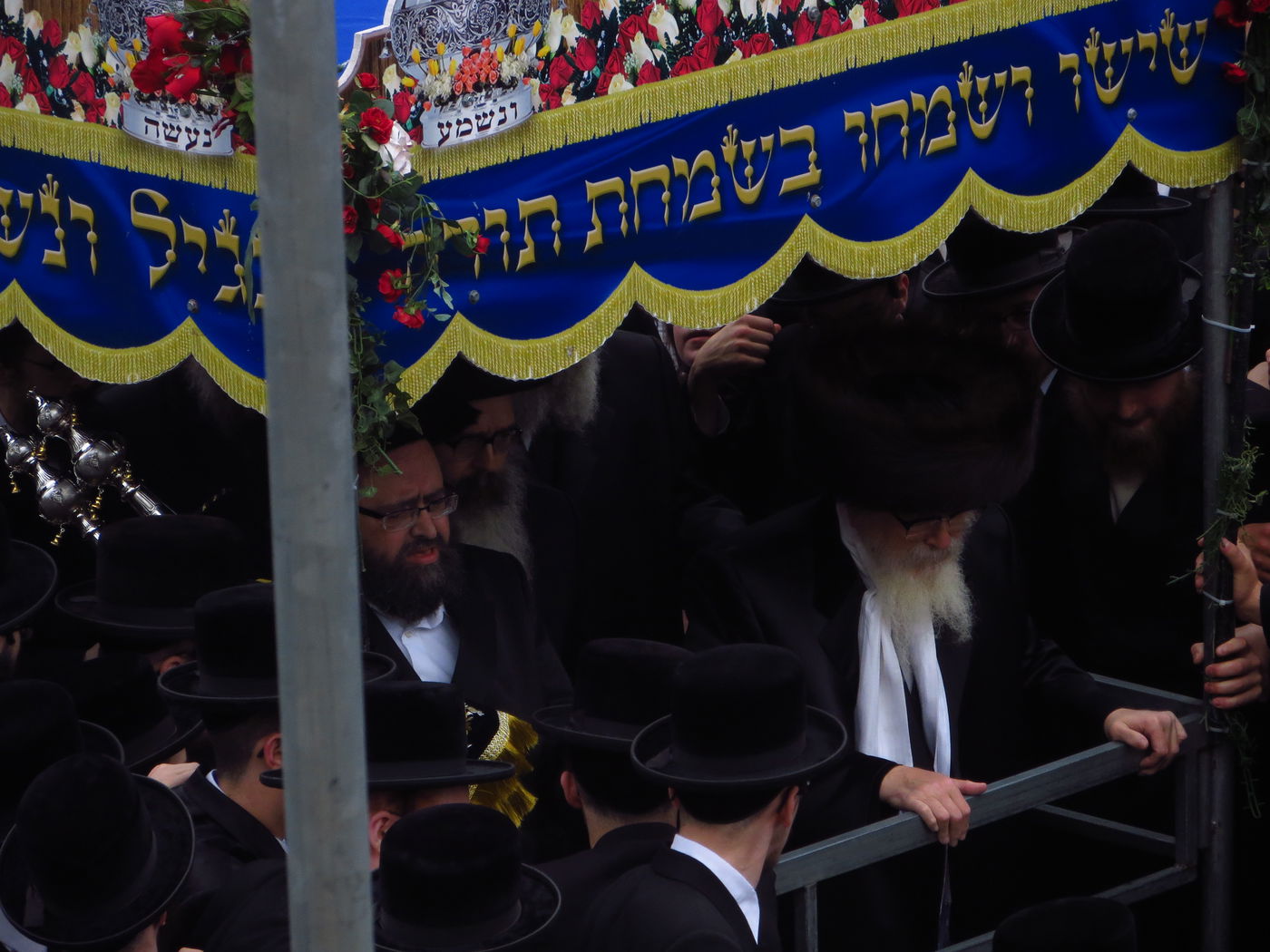 סקווירא: מעמד הכנסת ספר תורה • גלריה