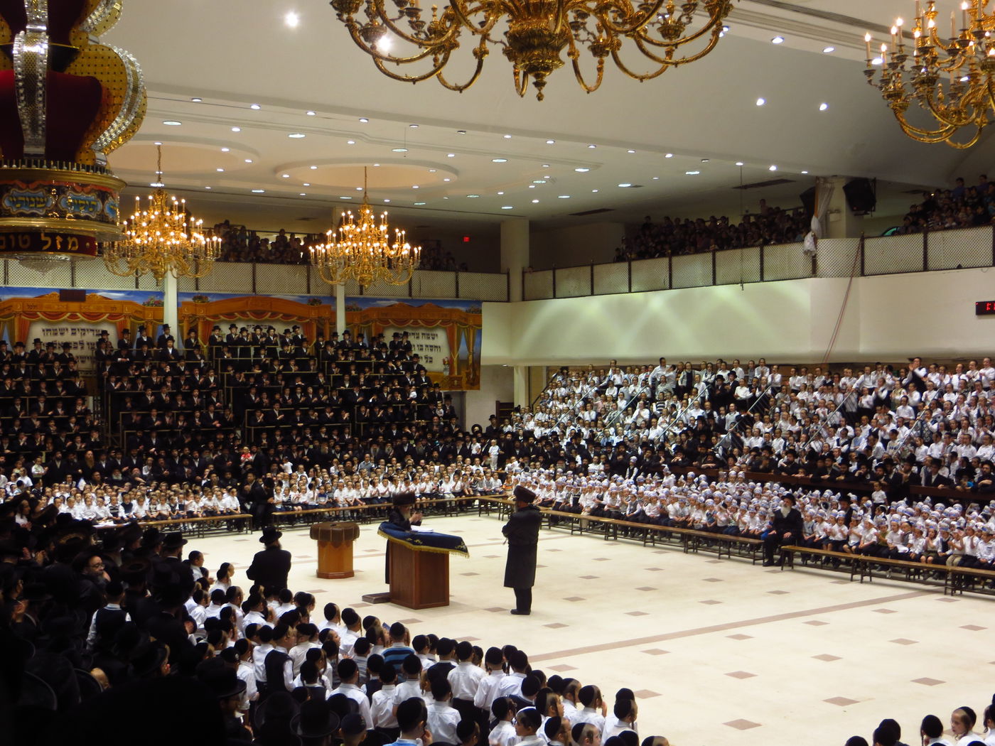 סקווירא: מעמד הכנסת ספר תורה • גלריה