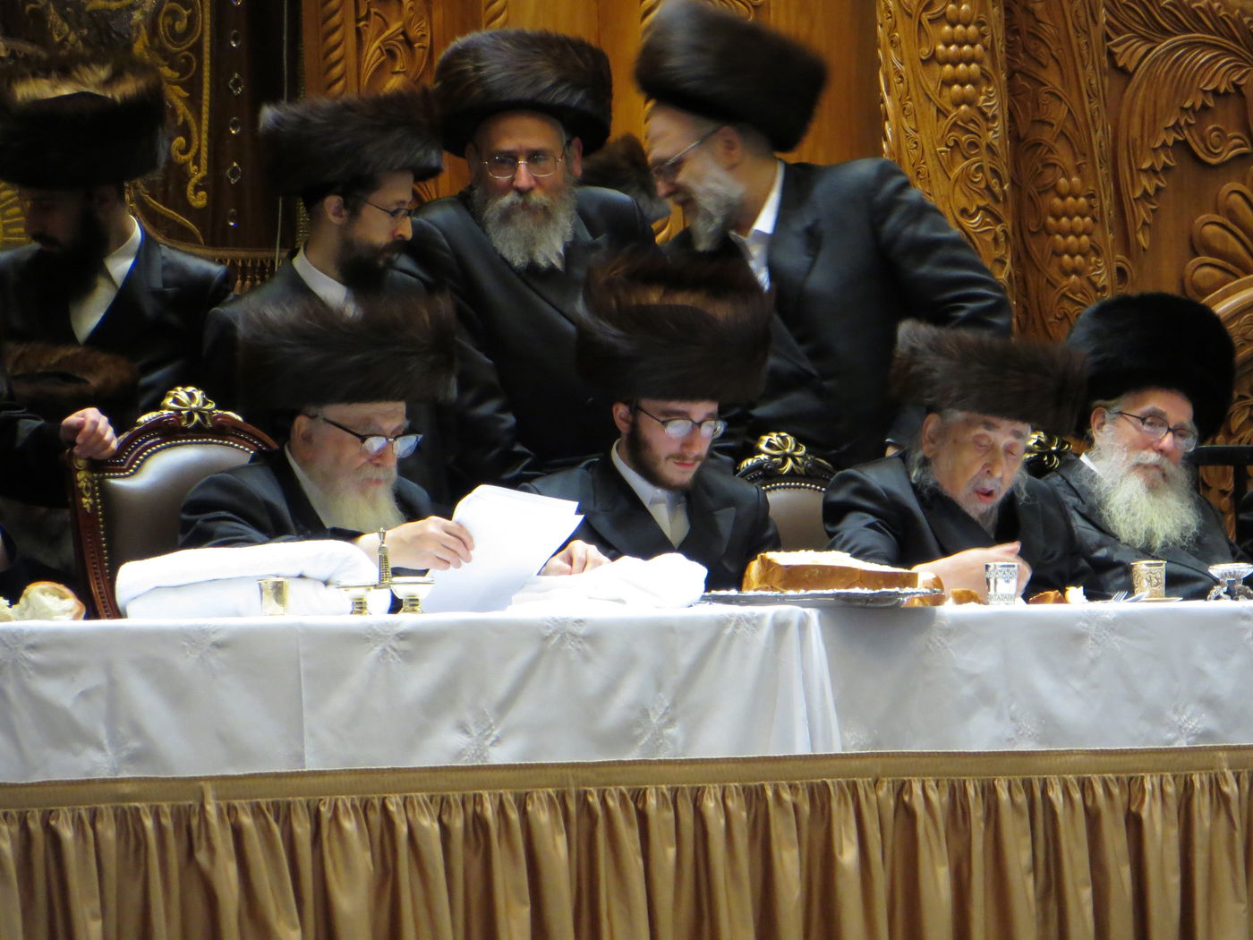 סקווירא: מעמד הכנסת ספר תורה • גלריה