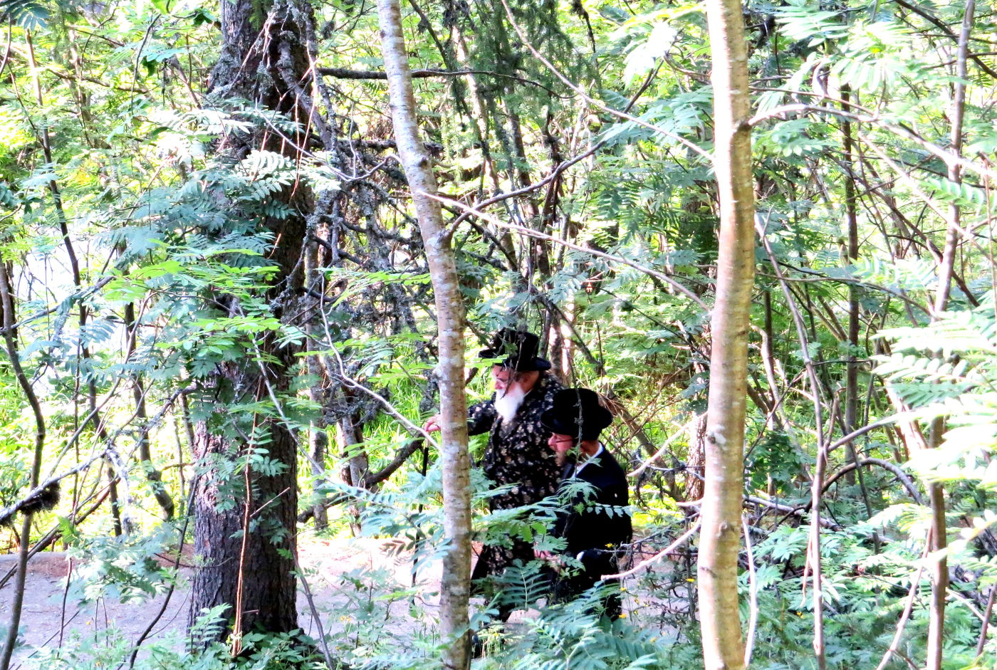 צפו בגלרית ענק: הנופש של הרבי מויז'ניץ בשווייץ