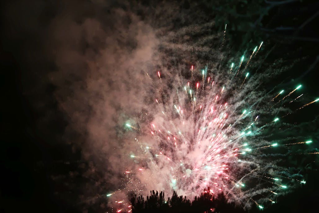 צפו בגלריה: מתנדבי 'איחוד הצלה' נופשים