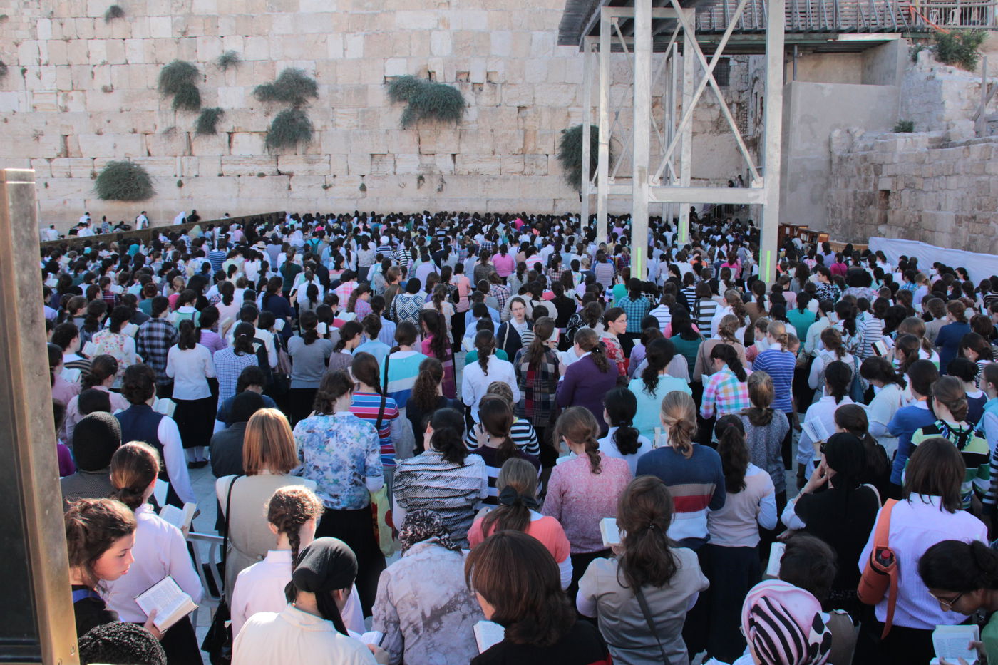 ניצחון חרדי בכותל המערבי • גלריה