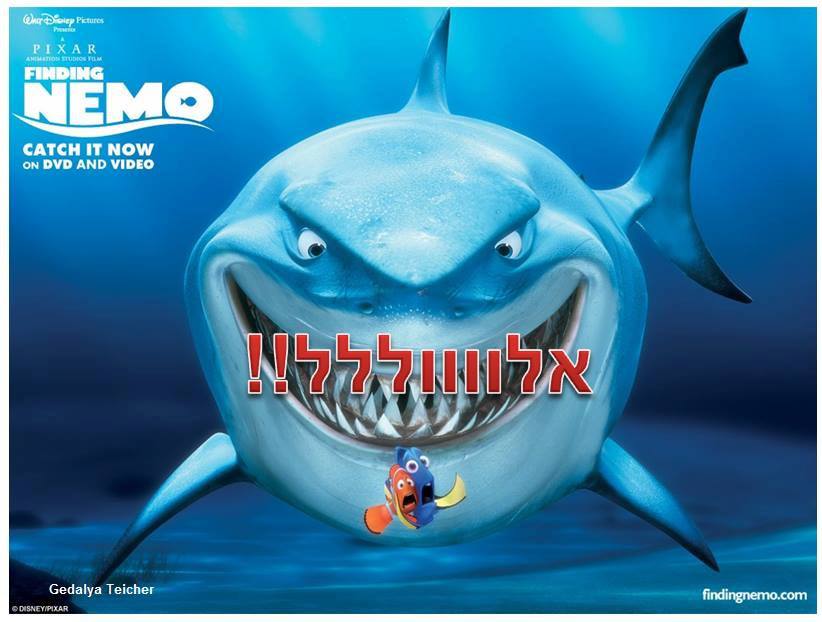 השבוע ברשת: זמן אלול, סליחות ו'החלק הראשון' של נתניהו