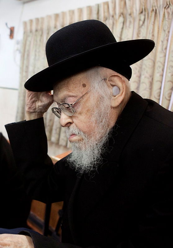 הבורר והרב מרקוביץ תועדו משוחחים עמו, מרן הגרי"ש אלישיב זצוק"ל