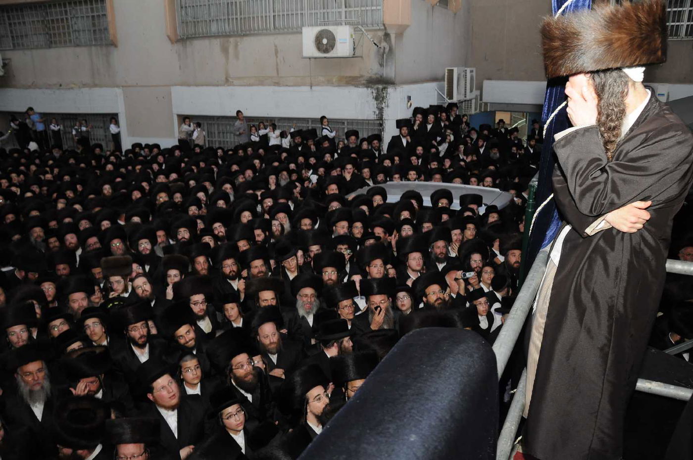 מצווה טאנץ בדז'יקוב • גלריה שניה