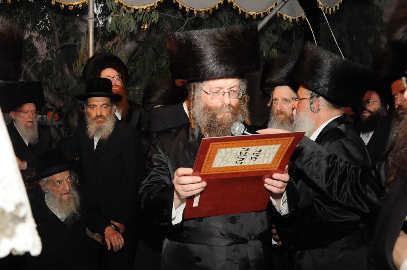 מצווה טאנץ בדז'יקוב • גלריה שניה