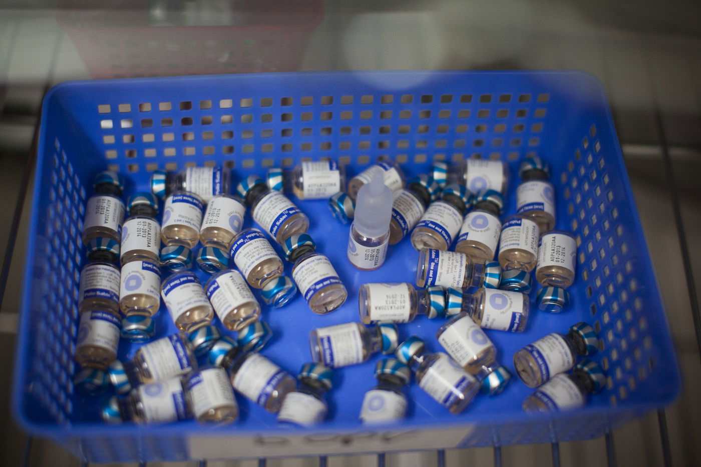 כך מחסלים את הפוליו • תמונות מחיסוני הילדים