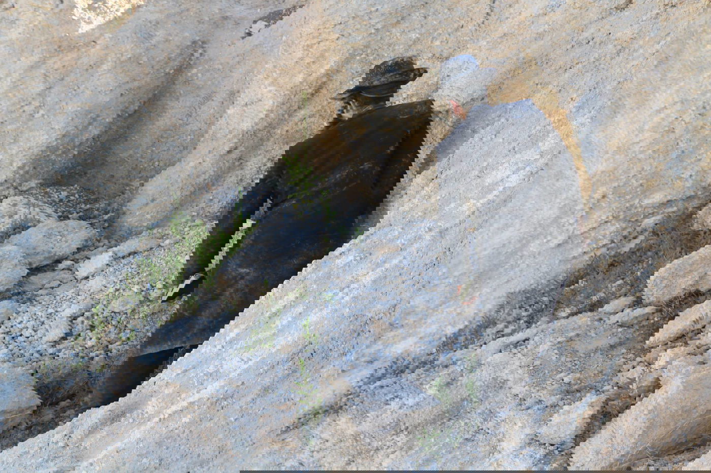 בית שמש: יום נוסף של הפגנות במתחם גולובנציץ' • וידאו וגלריה