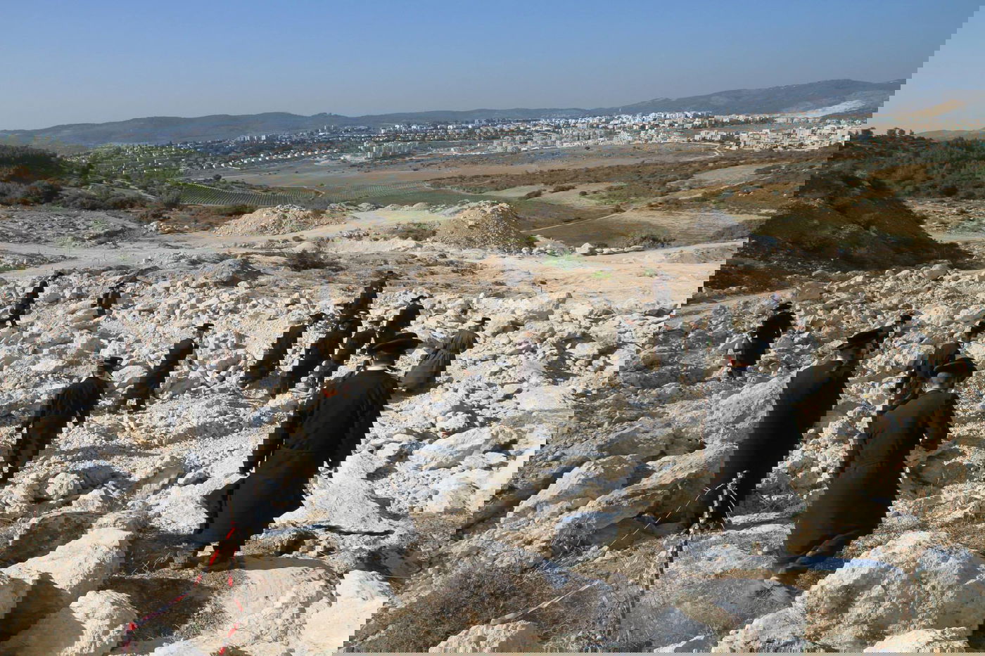 בית שמש: יום נוסף של הפגנות במתחם גולובנציץ' • וידאו וגלריה