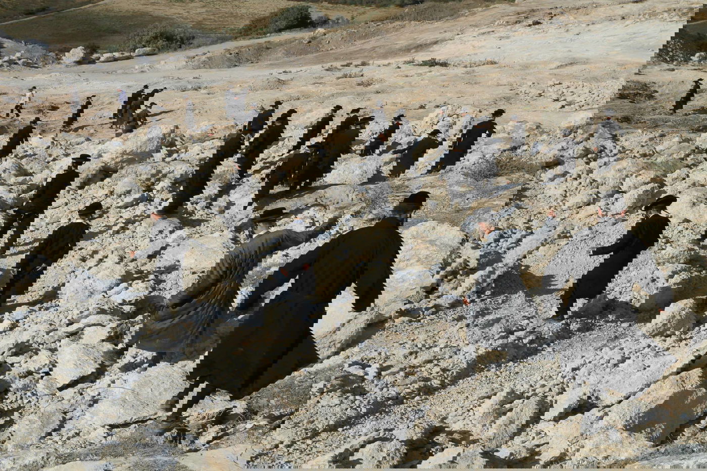 בית שמש: יום נוסף של הפגנות במתחם גולובנציץ' • וידאו וגלריה