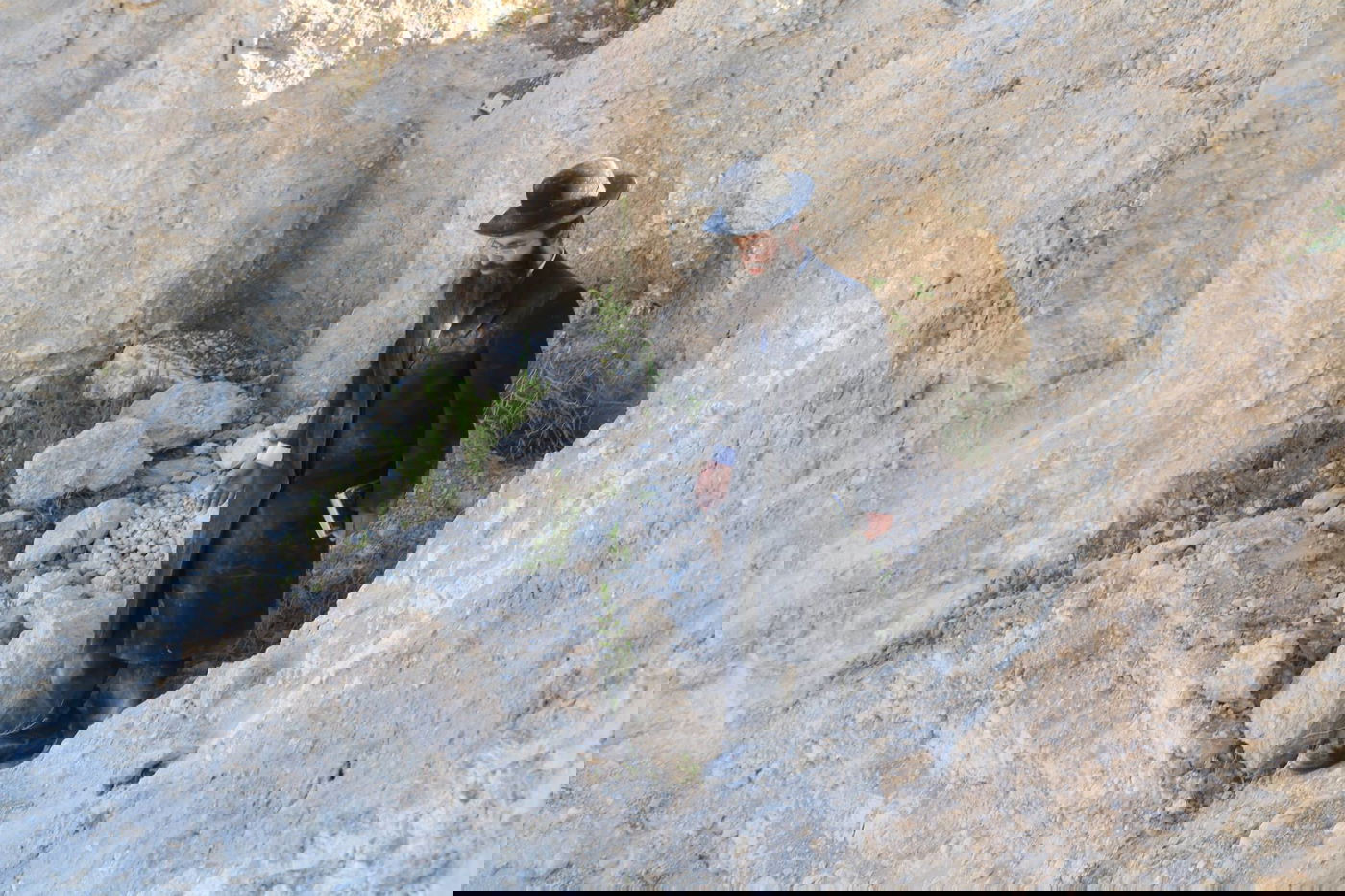 בית שמש: יום נוסף של הפגנות במתחם גולובנציץ' • וידאו וגלריה