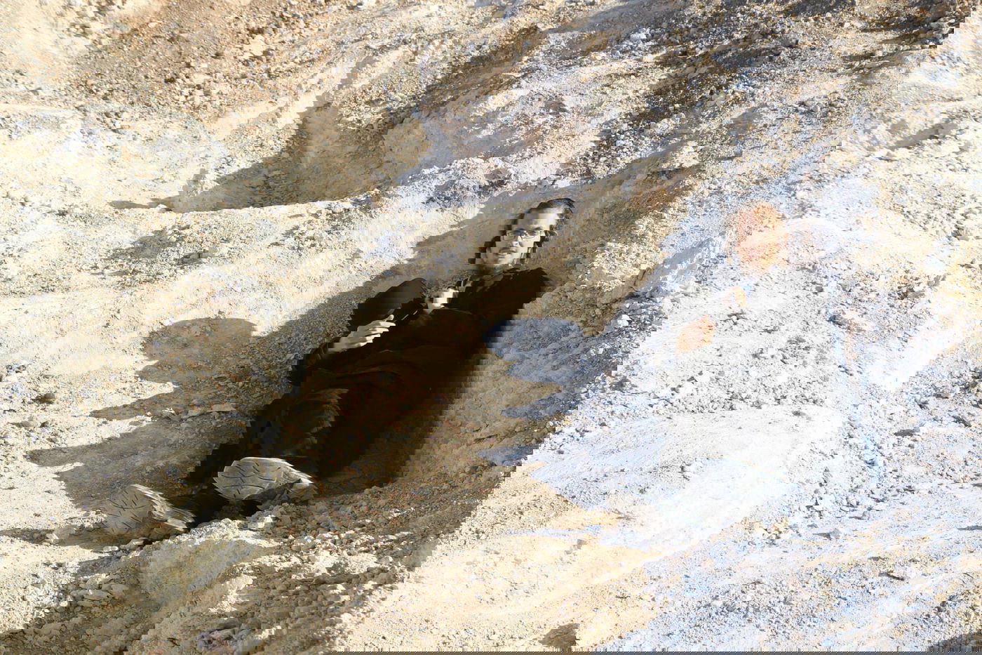 בית שמש: יום נוסף של הפגנות במתחם גולובנציץ' • וידאו וגלריה