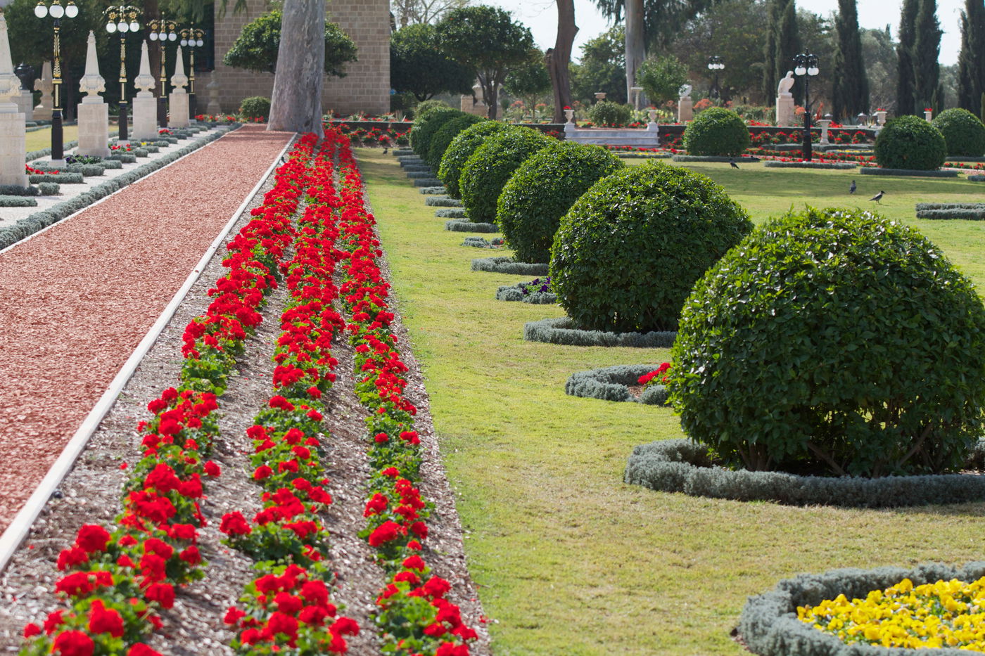 משנים את כללי המשחק בצפון