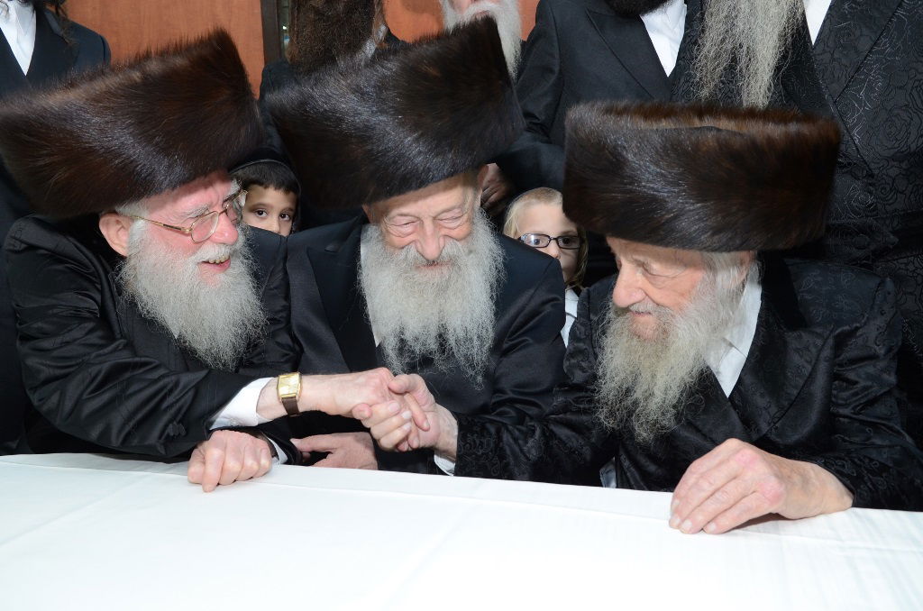 שמחת נישואי נינת הגר"ש וואזנר • גלריה