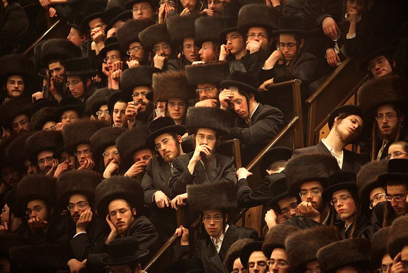 בחסידות לא מודאגים וסבורים שמקומם מובטח, חסידי בעלזא