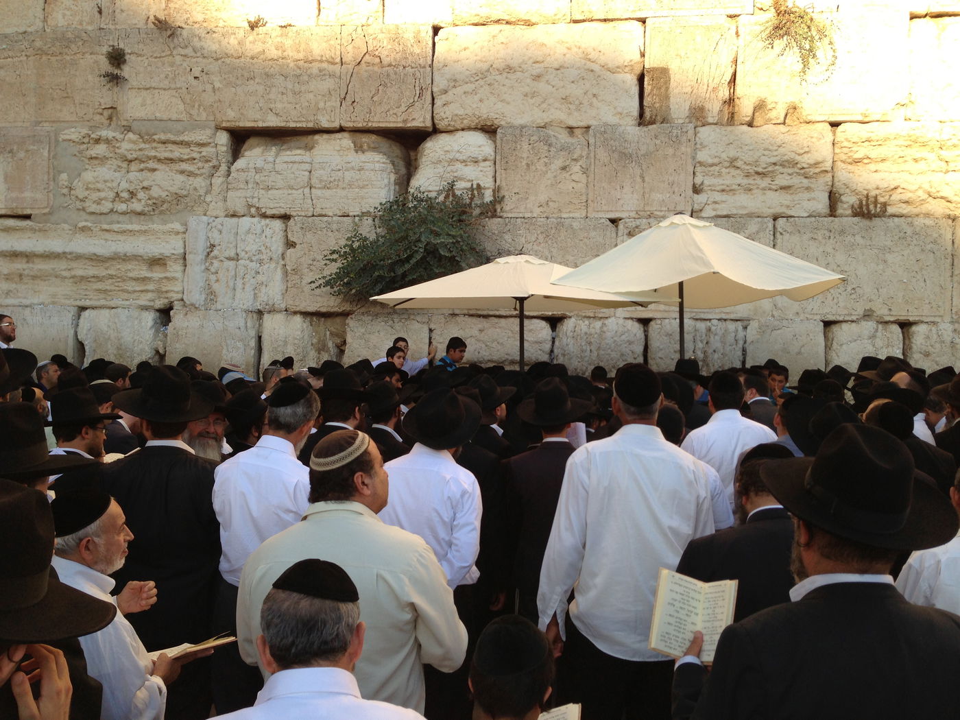 צפו: המונים התפללו בכותל לרפואת הרב עובדיה יוסף