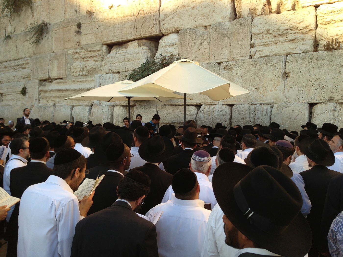 צפו: המונים התפללו בכותל לרפואת הרב עובדיה יוסף