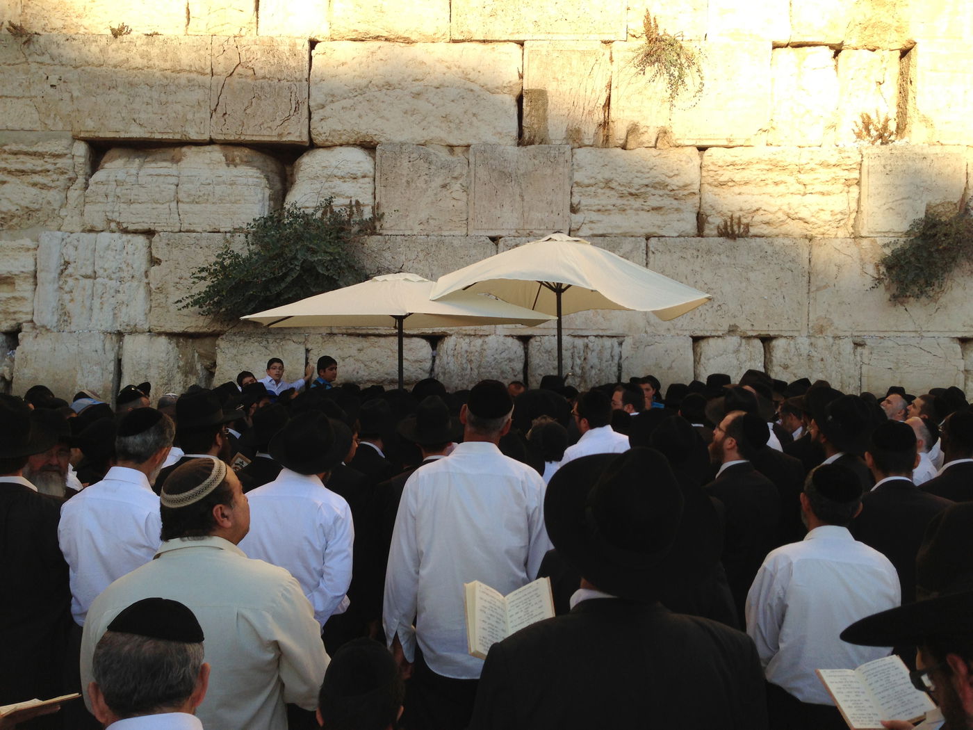 צפו: המונים התפללו בכותל לרפואת הרב עובדיה יוסף