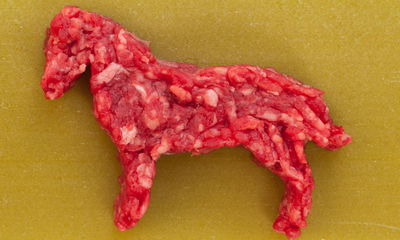 הילד לא רוצה לאכול חיות מתות, מה עושים?