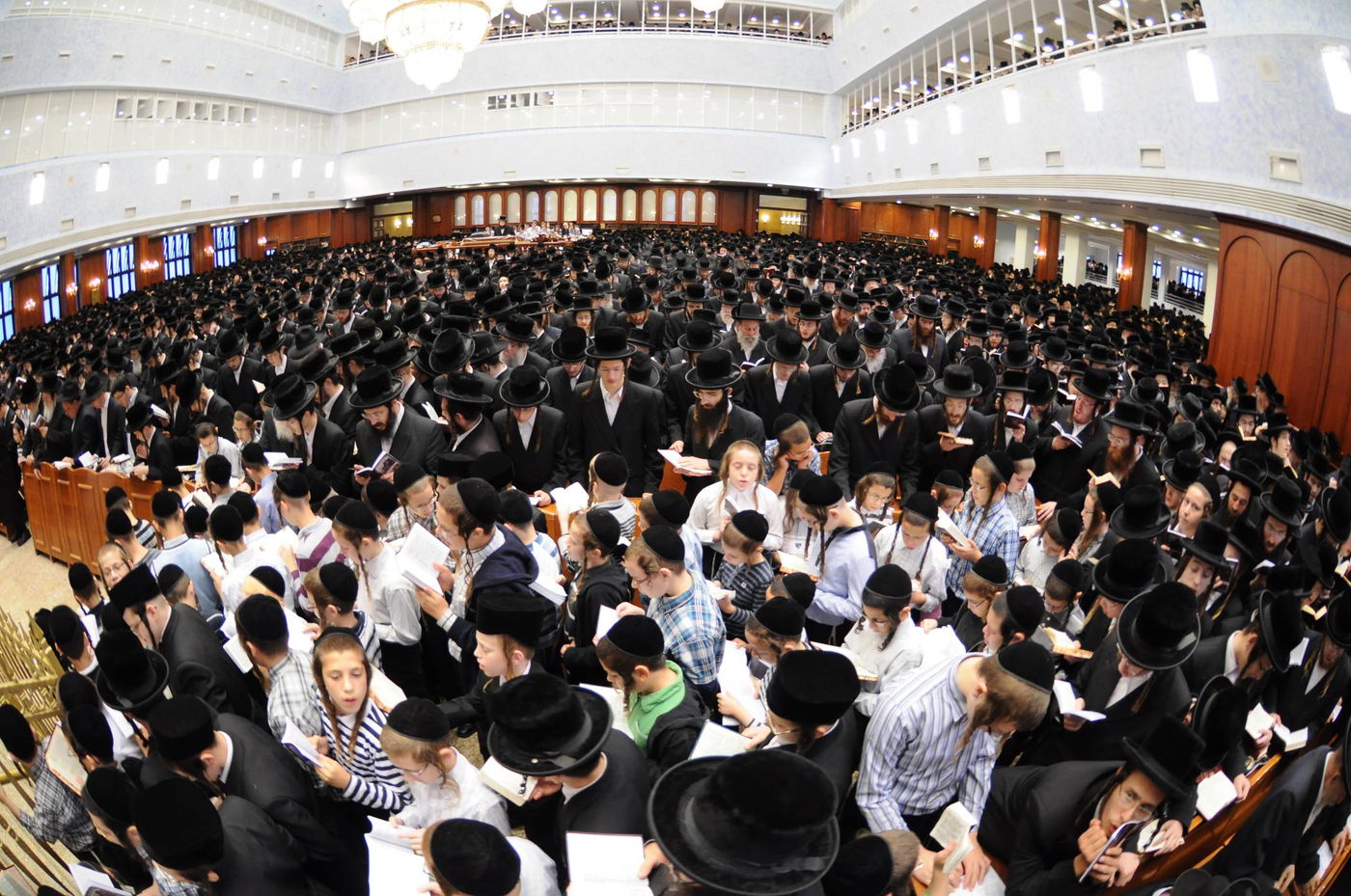 באשמורת הבוקר: אלפים בסליחות בבעלזא • גלריה