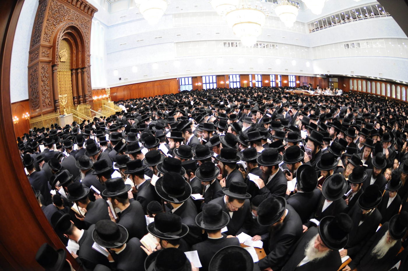 באשמורת הבוקר: אלפים בסליחות בבעלזא • גלריה