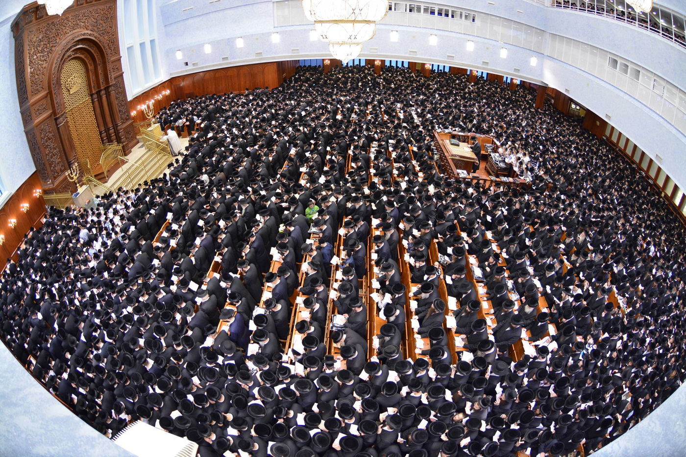 באשמורת הבוקר: אלפים בסליחות בבעלזא • גלריה